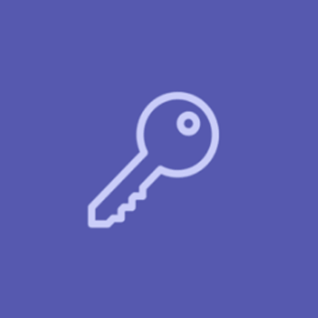 Professional Use Lifetime License